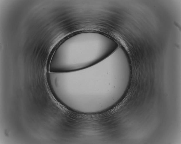 X0000091220936200708301448