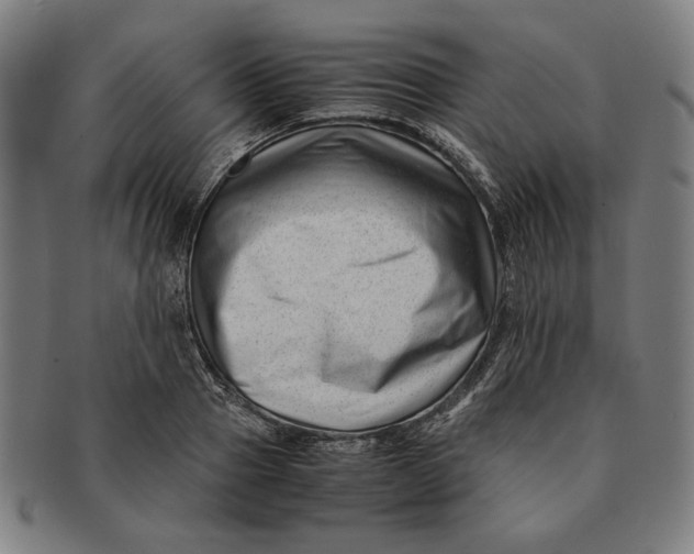 X0000091220937200708301448