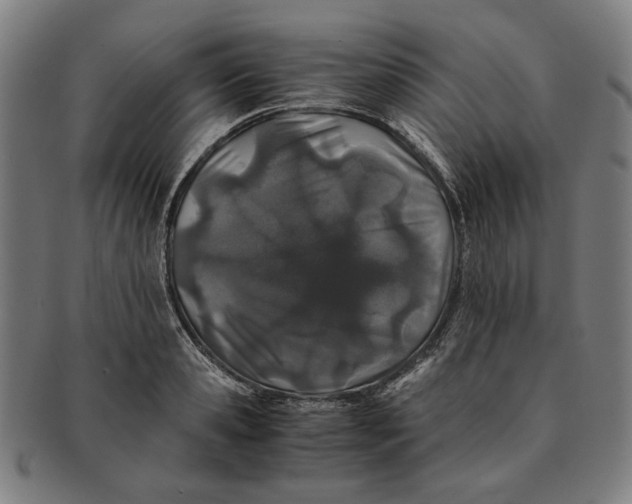 X0000091220941200708301448