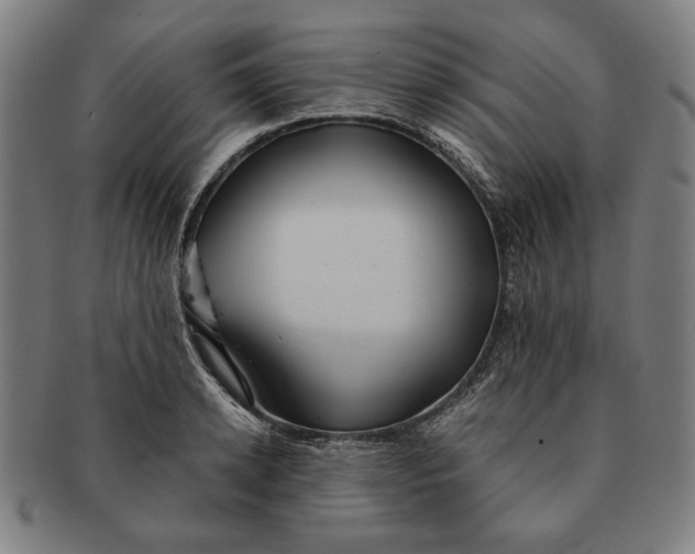 X0000091220942200708301448