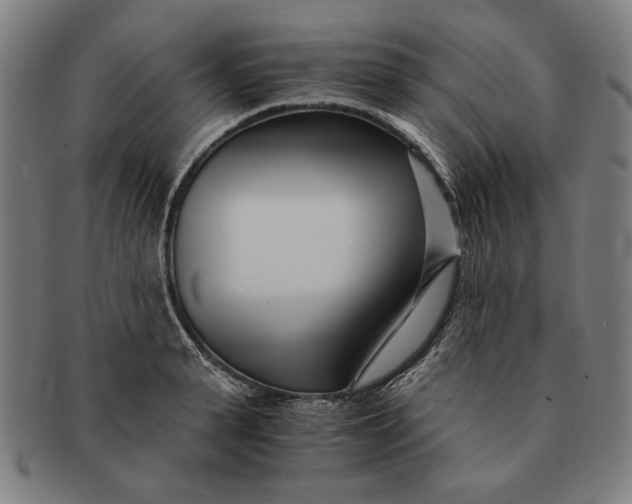 X0000091220943200708301448