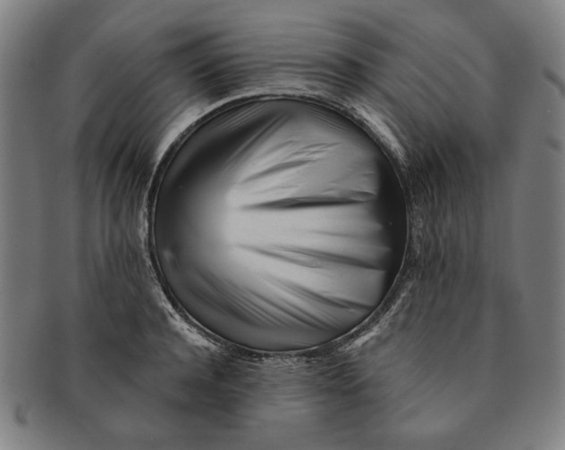 X0000091220944200708301448