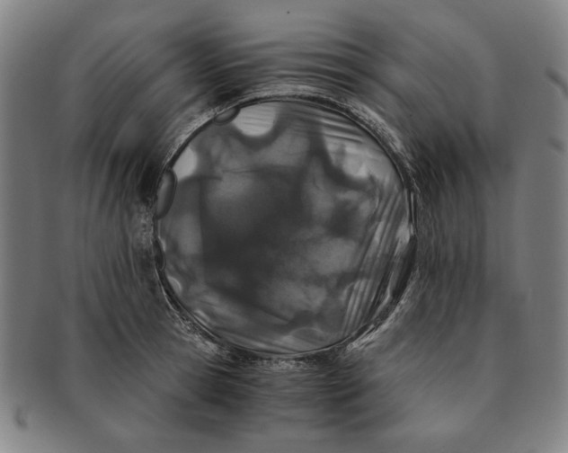 X0000091220945200708301448