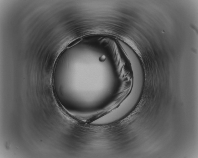 X0000091220946200708301448