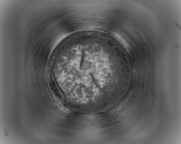 X0000091220948200708301448