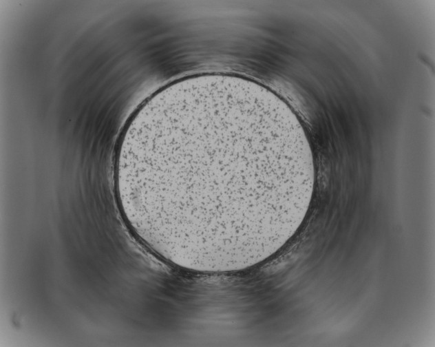 X0000091220950200708301448