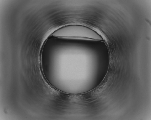 X0000091220951200708301448