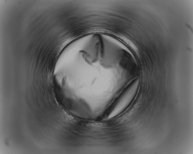 X0000091220953200708301448