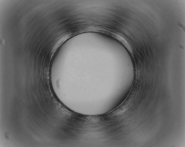 X0000091220954200708301448