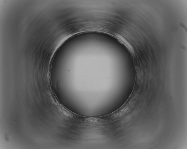 X0000091220956200708301449