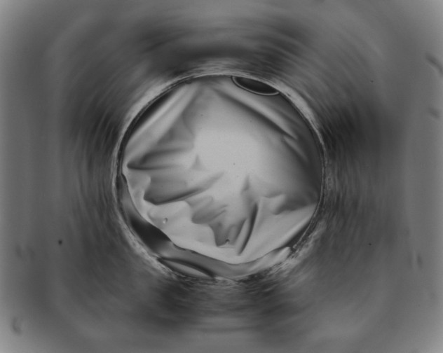 X0000091220957200708301449