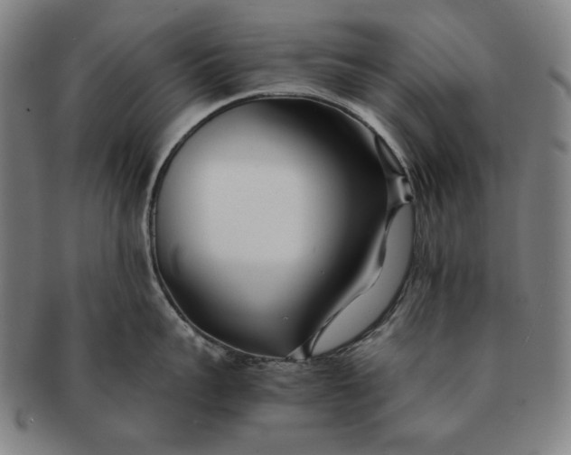 X0000091220959200708301449