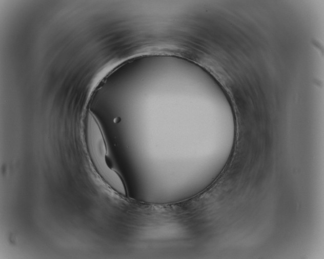 X0000091220960200708301449