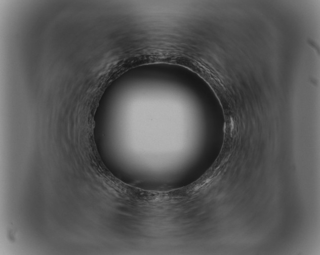 X0000091220961200708301448