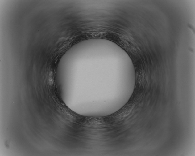 X0000091220962200708301448