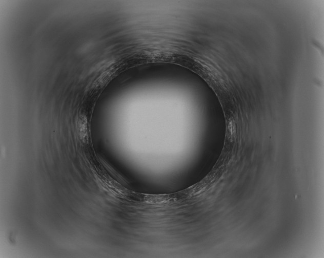 X0000091220963200708301448