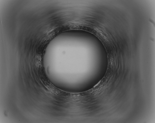 X0000091220964200708301448