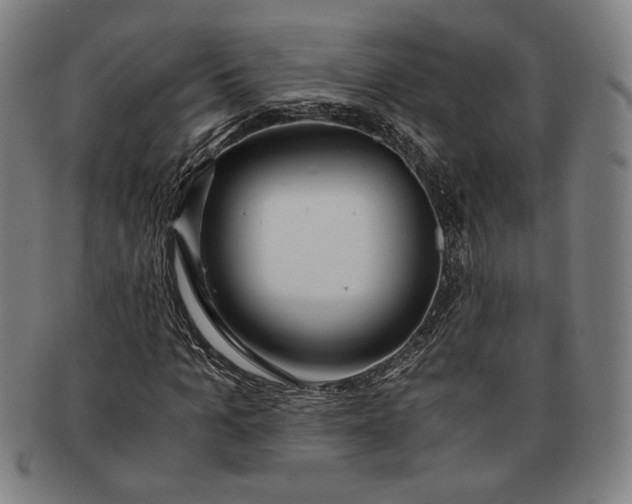 X0000091220965200708301448