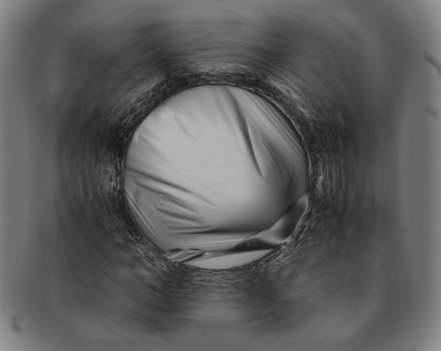 X0000091220966200708301448