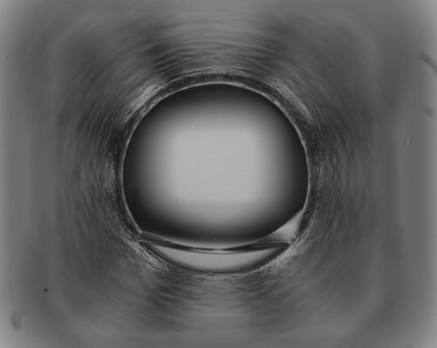 X0000091220969200708301448