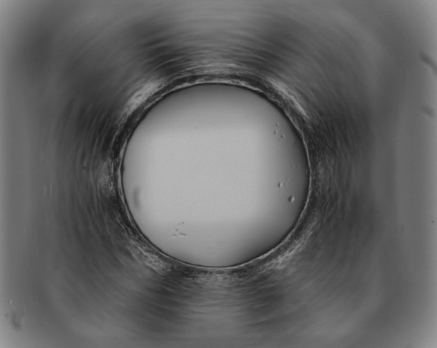 X0000091220970200708301448