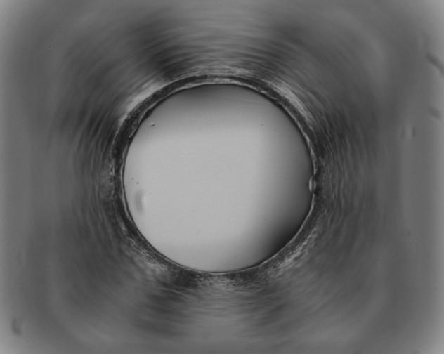 X0000091220971200708301448