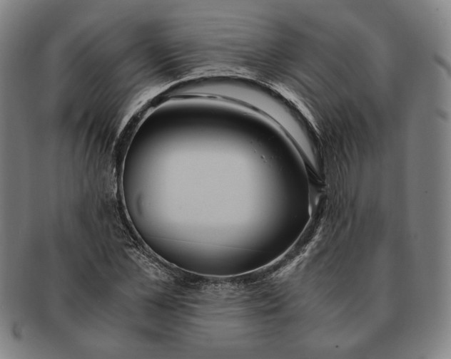 X0000091220973200708301448