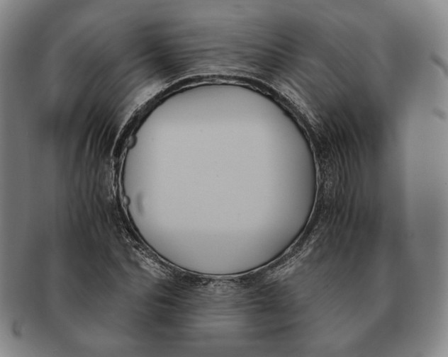 X0000091220974200708301448