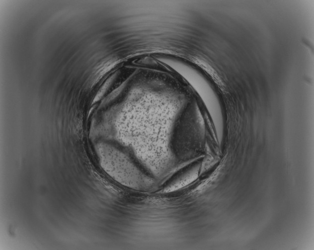 X0000091220977200708301448