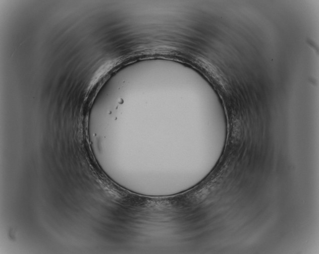 X0000091220978200708301448