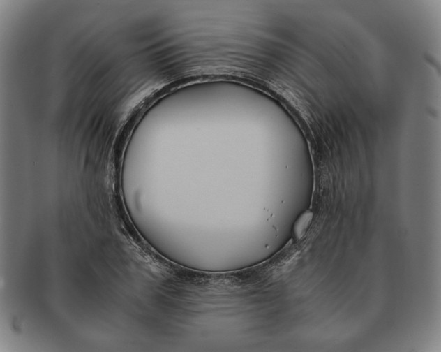 X0000091220979200708301448