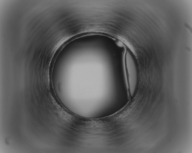 X0000091220980200708301448