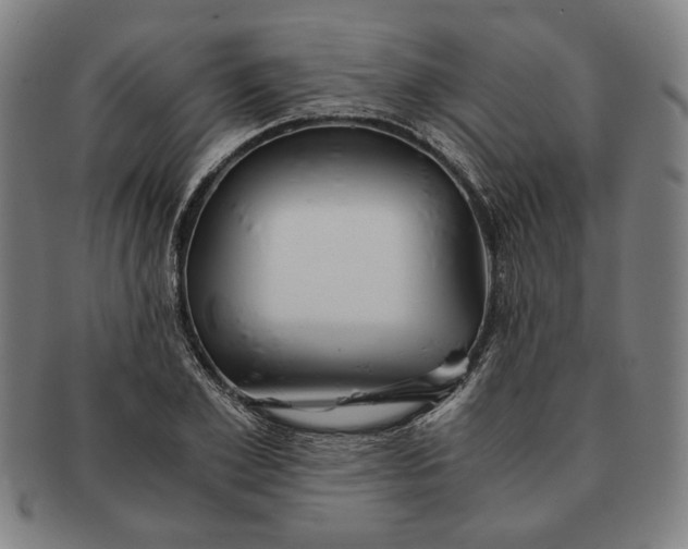 X0000091220981200708301448