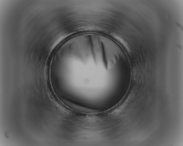 X0000091220983200708301447