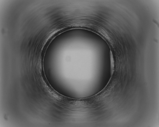 X0000091220984200708301447