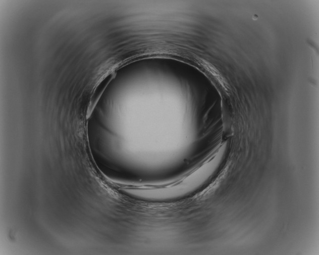 X0000091220985200708301447