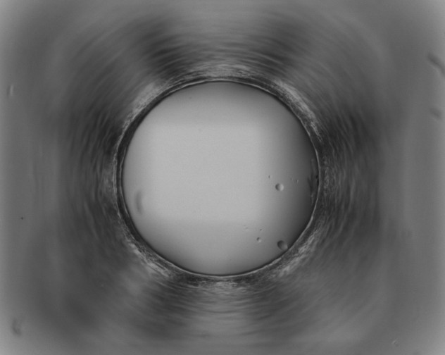 X0000091220986200708301447