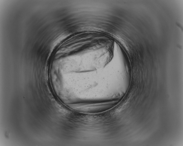 X0000091220987200708301447