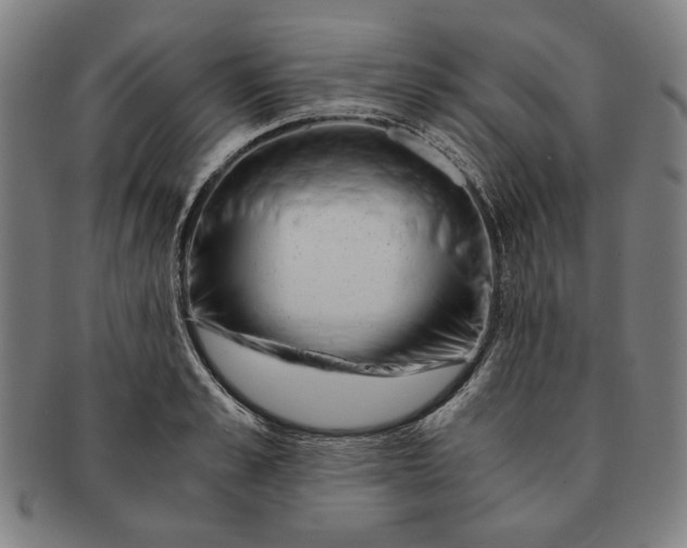 X0000091220989200708301447