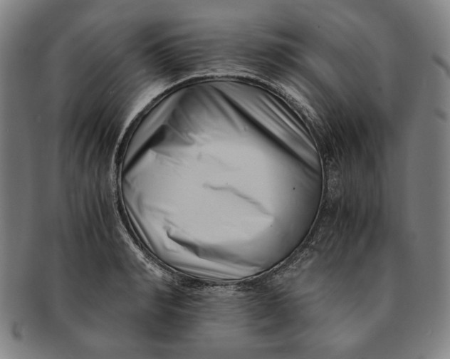 X0000091220990200708301447