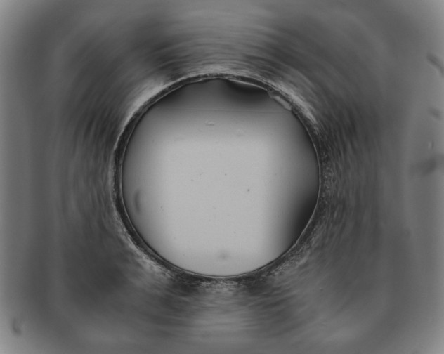 X0000091220991200708301447