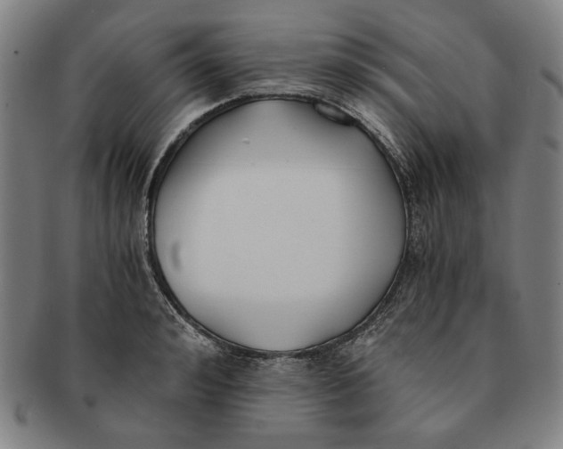 X0000091220992200708301447