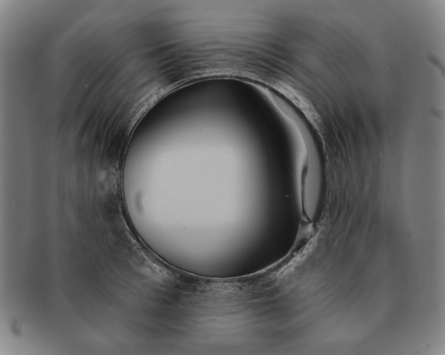 X0000091220993200708301447