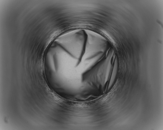 X0000091220994200708301447