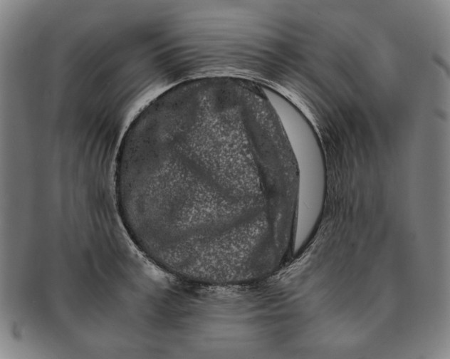 X0000091220995200708301447