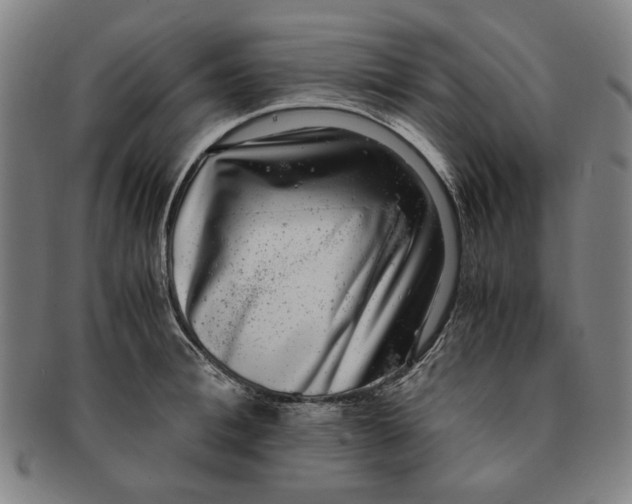 X0000091220996200708301447