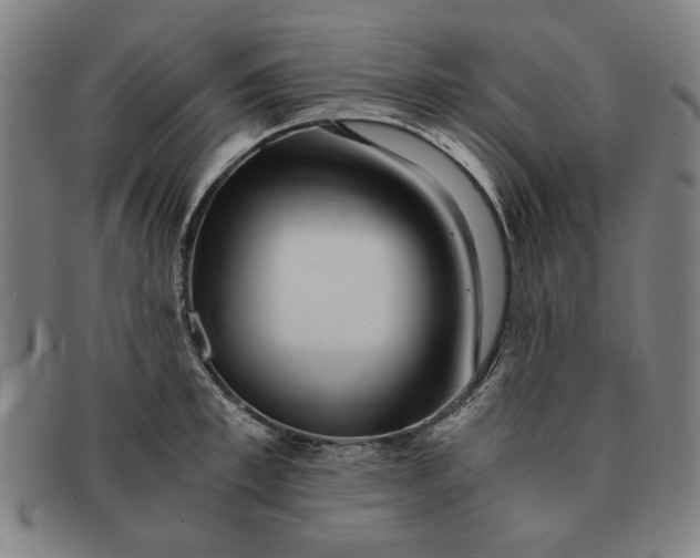 X0000091220997200708301447