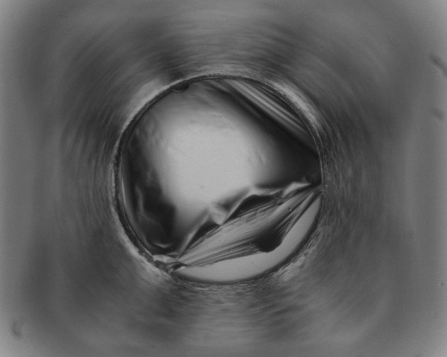 X0000091220999200708301447