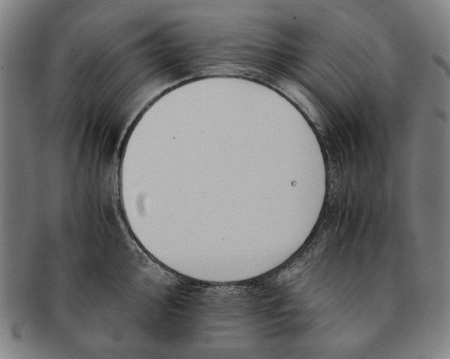 X0000091221000200708301447