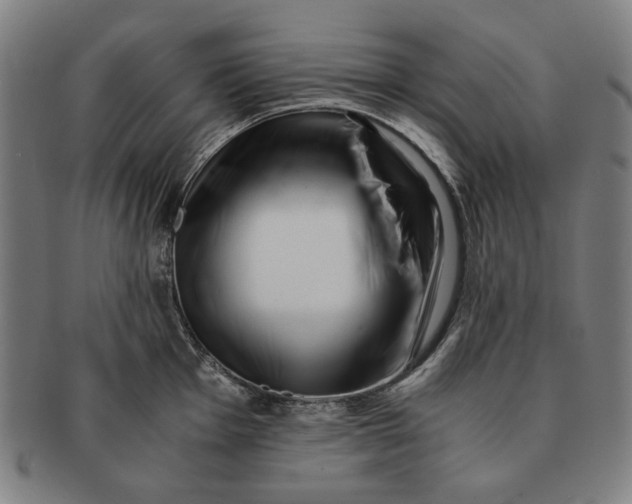 X0000091221001200708301447